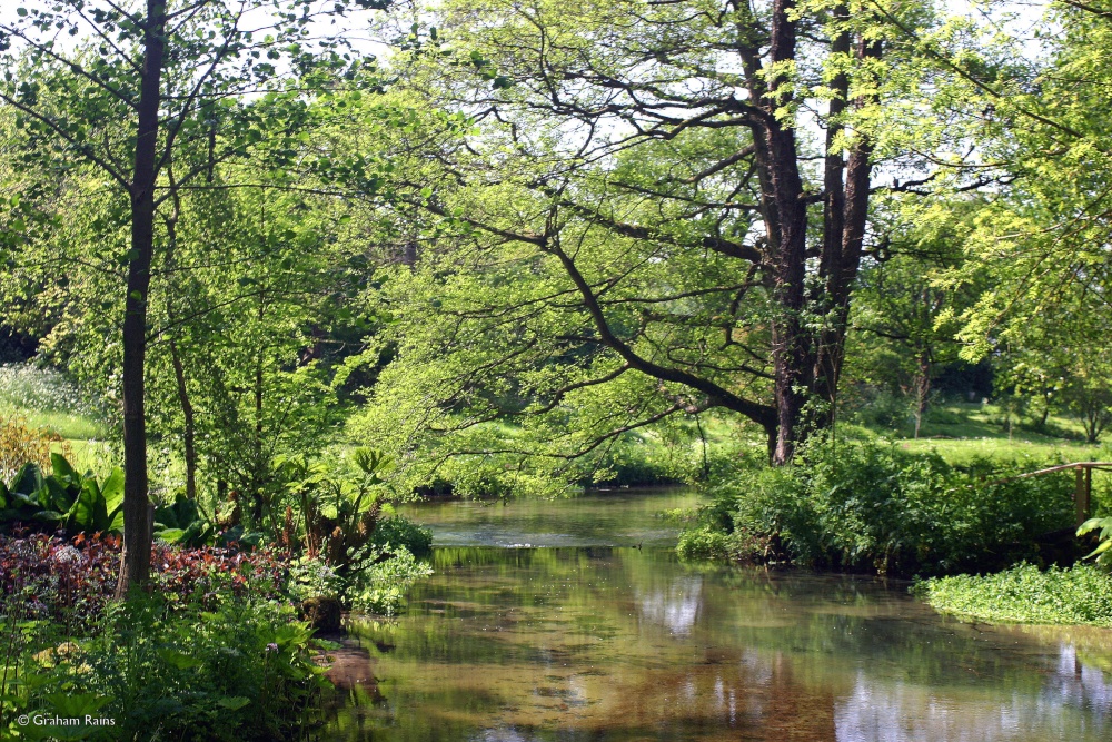 Springhead Gardens, Fontmell Magna, North Dorset.