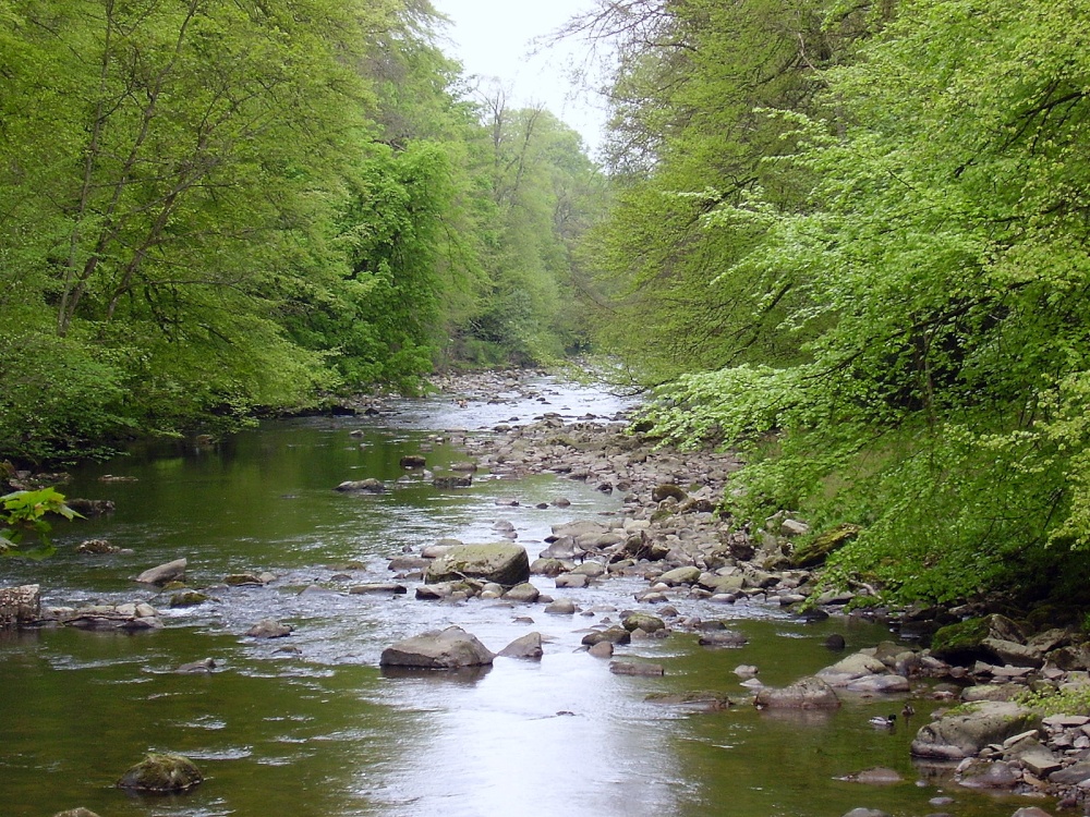 Photograph of Allen Banks, Northumberland