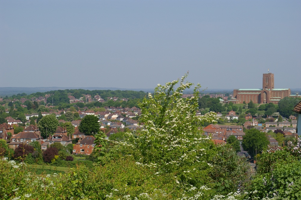 the Cathedral from the Mount