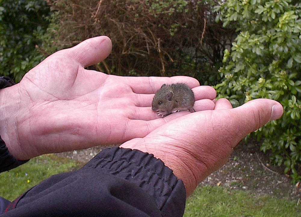 Photograph of Local resident