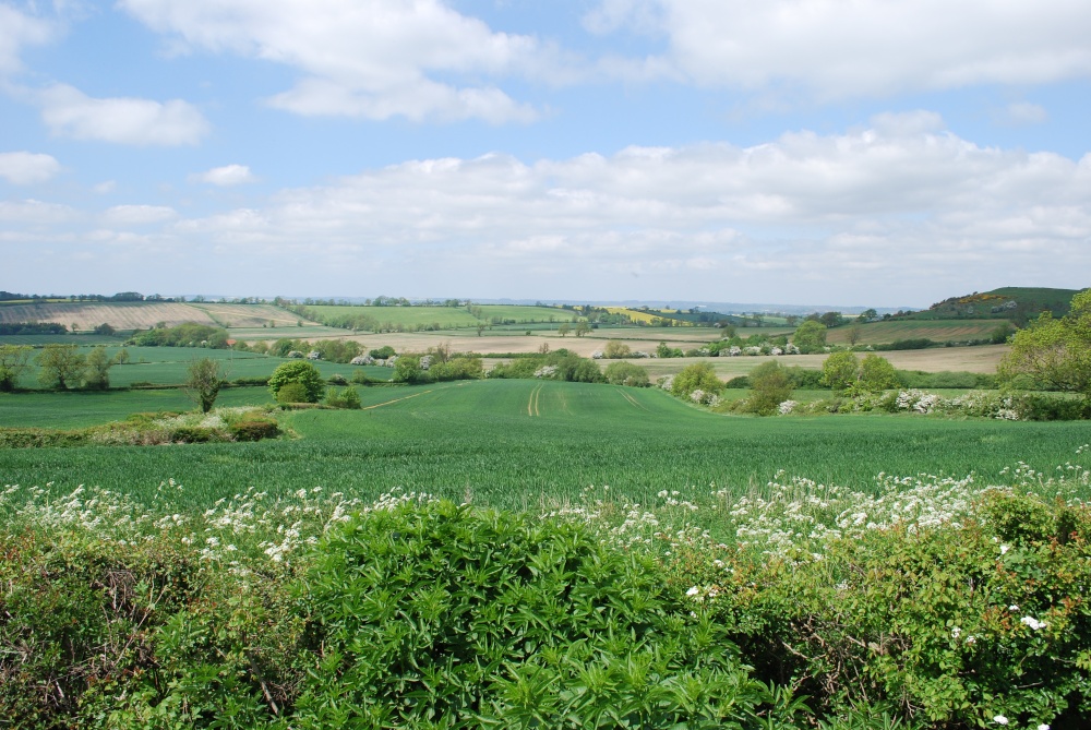 Photograph of Rural Leicestershire from Burrough on the Hill