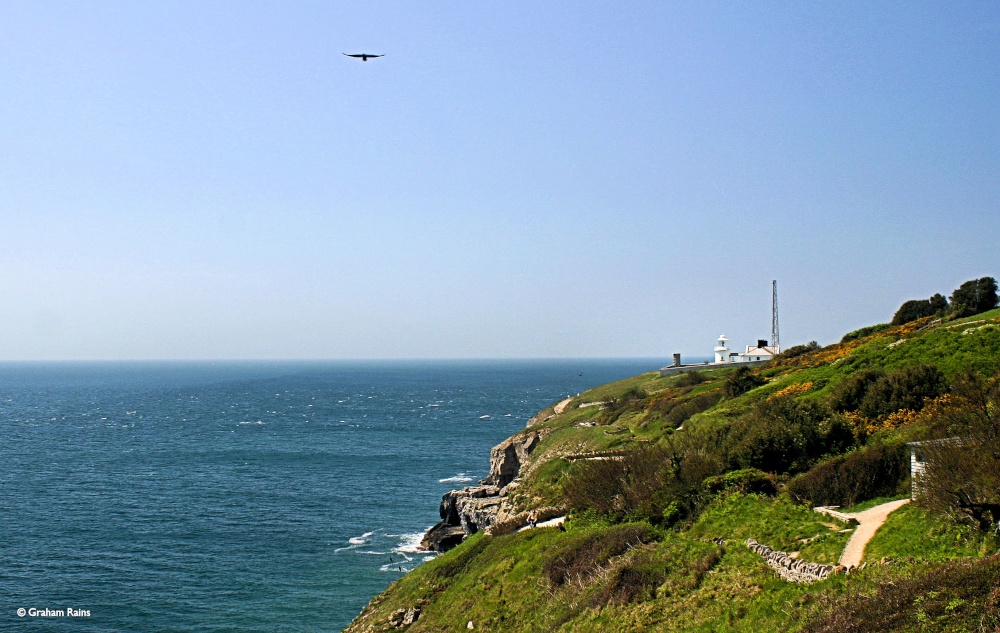 Durlston Country Park, Swanage, Dorset. photo by Graham Rains
