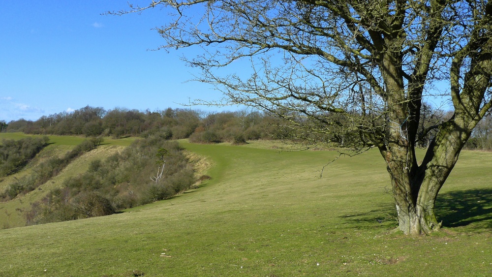 colley hill photo by Trevor Webster