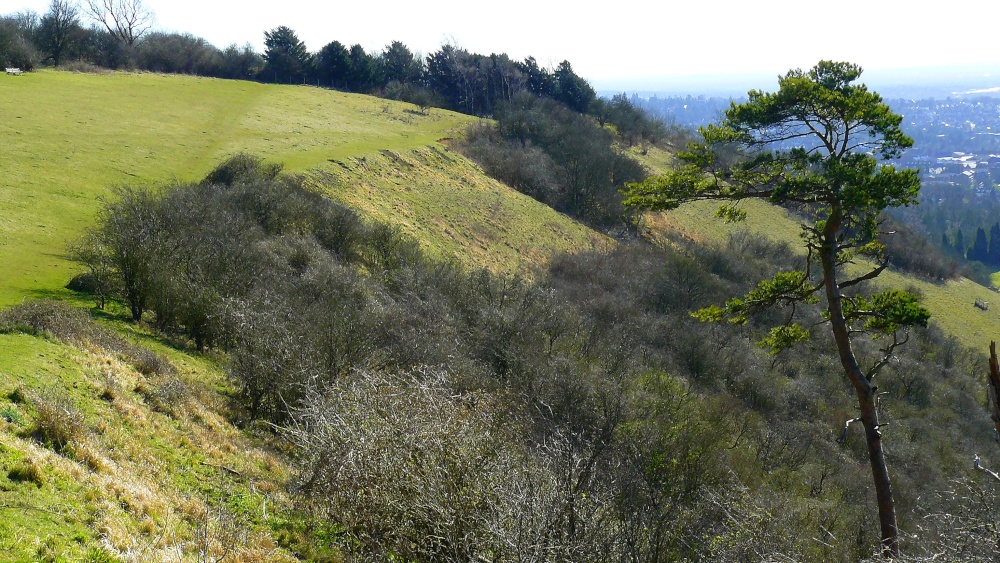 colley hill photo by Trevor Webster