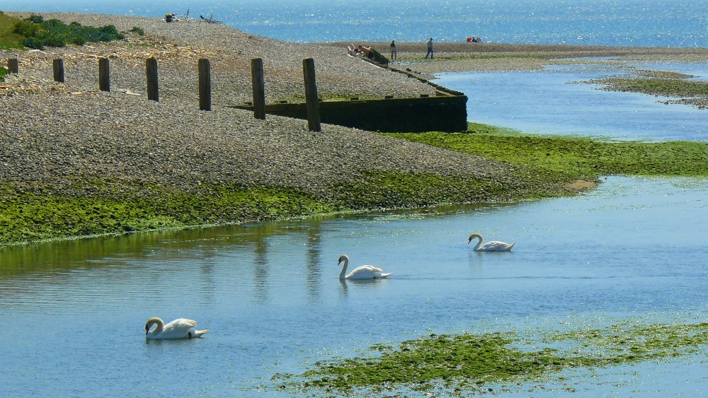 Cuckmere Haven
