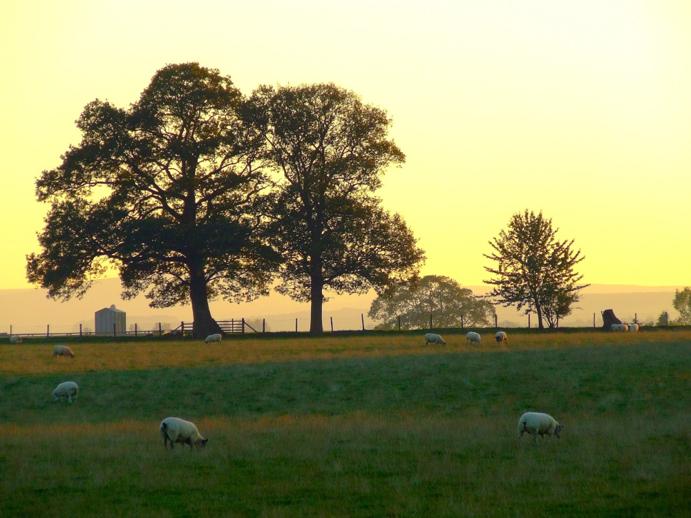 Brougham castle grounds