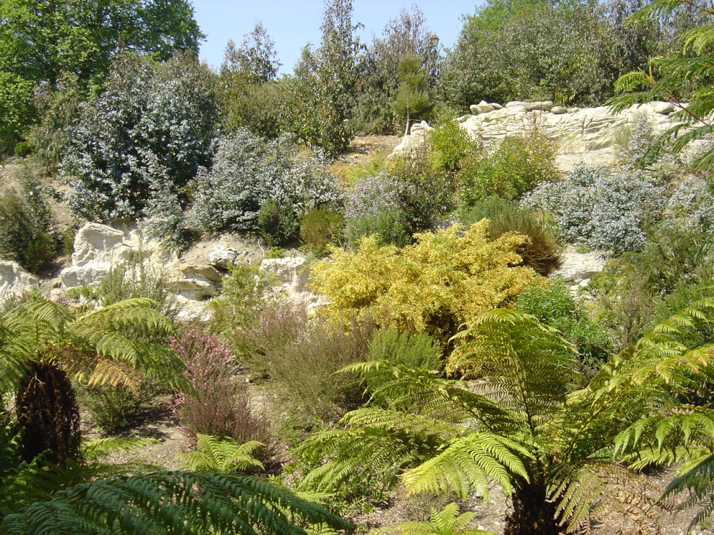 Ventnor, Isle of Wight photo by lucsa