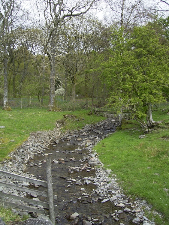 Stream running into Coniston Water, Cumbria.