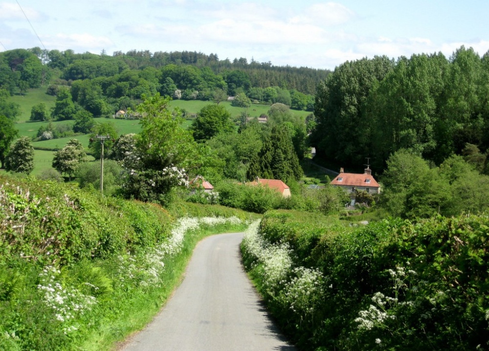 Country Lane on Longleat Estate