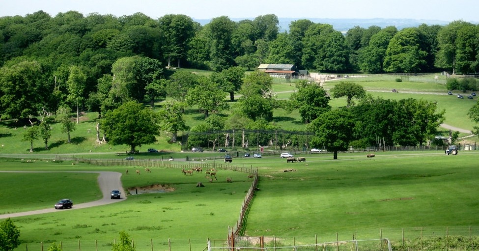View of the Safari Park, Longleat