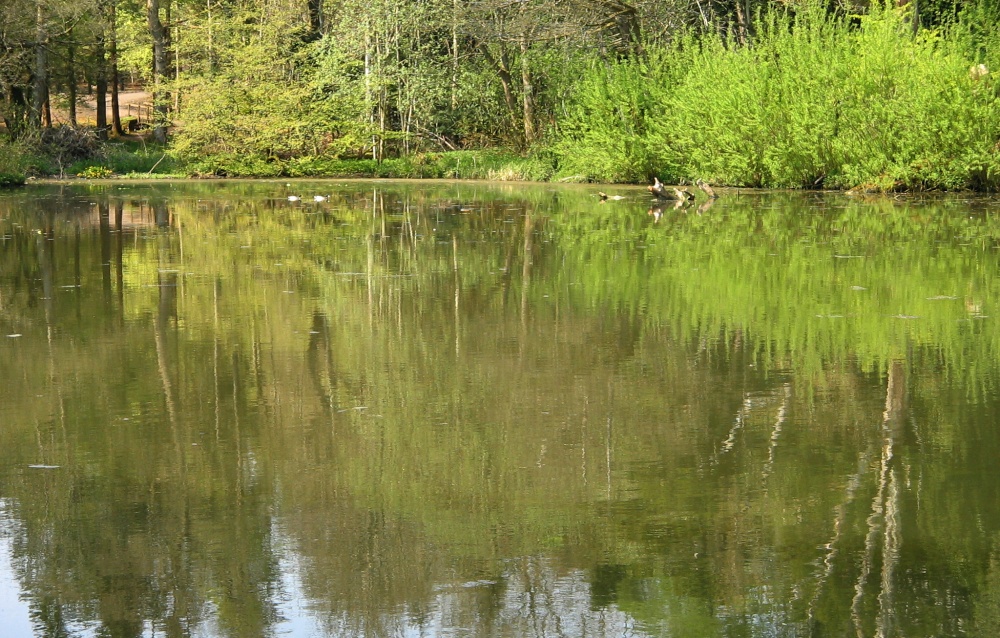 The Boat Lake, Wallington Hall, Northumberland.