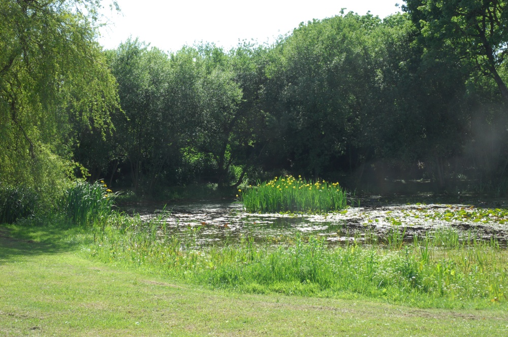 Friston Pond