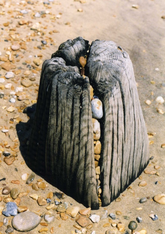 Natural Sculpture on Winchelsea Beach