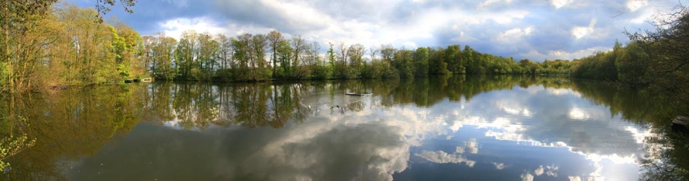 Fradley Pool Nature Reserve