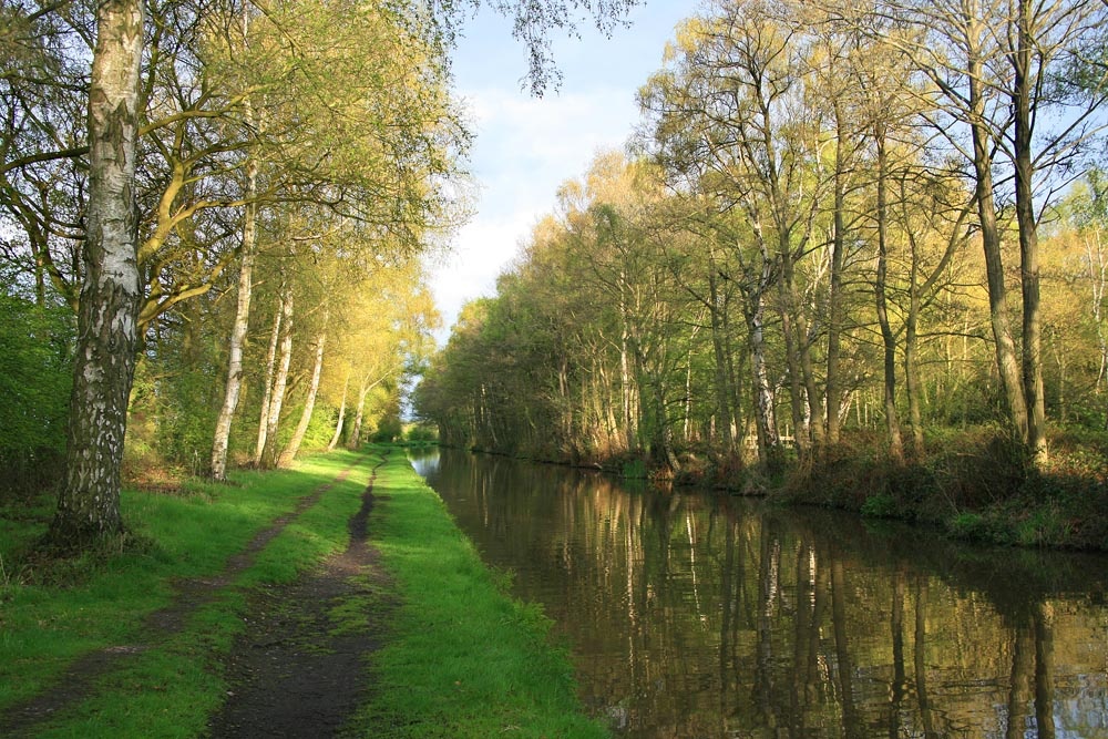 Photograph of Trent & Mersey Canal near Fradley