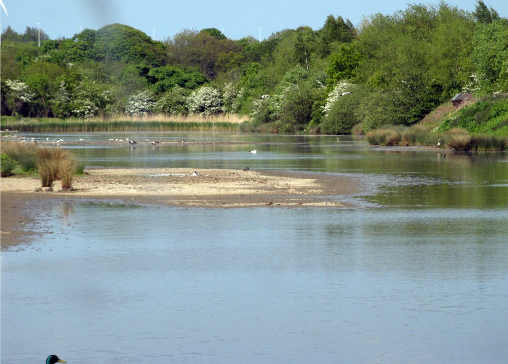 The waders lagoons at Washington Wetlands Centre.