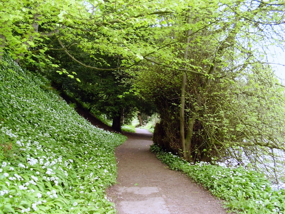 Photograph of Allen Banks