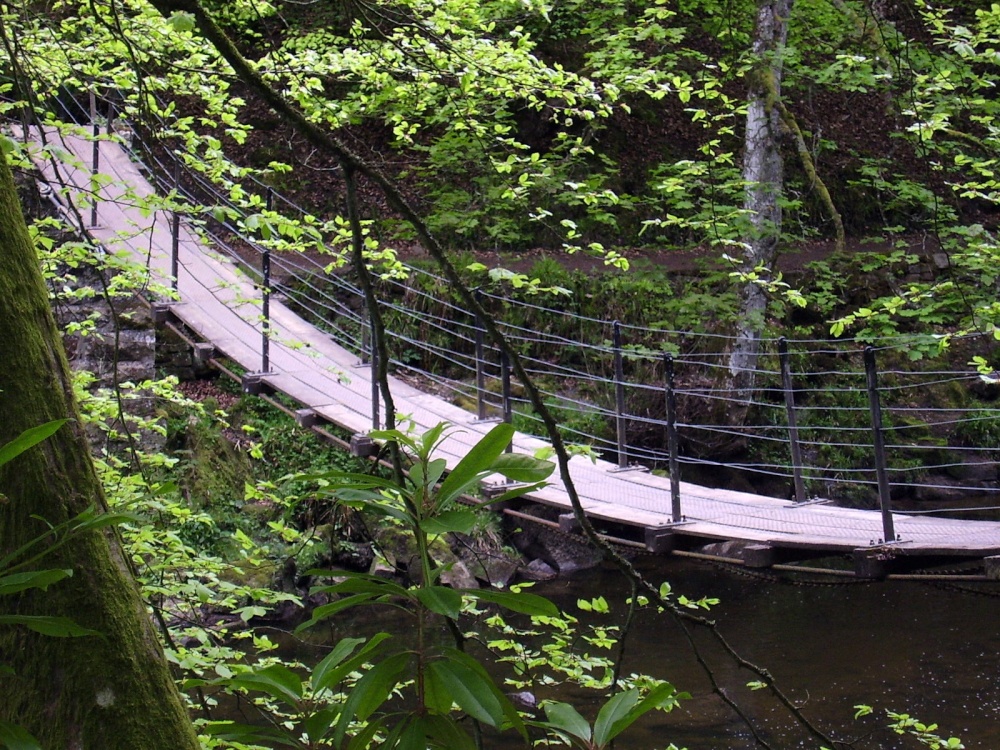 Photograph of Allen Banks