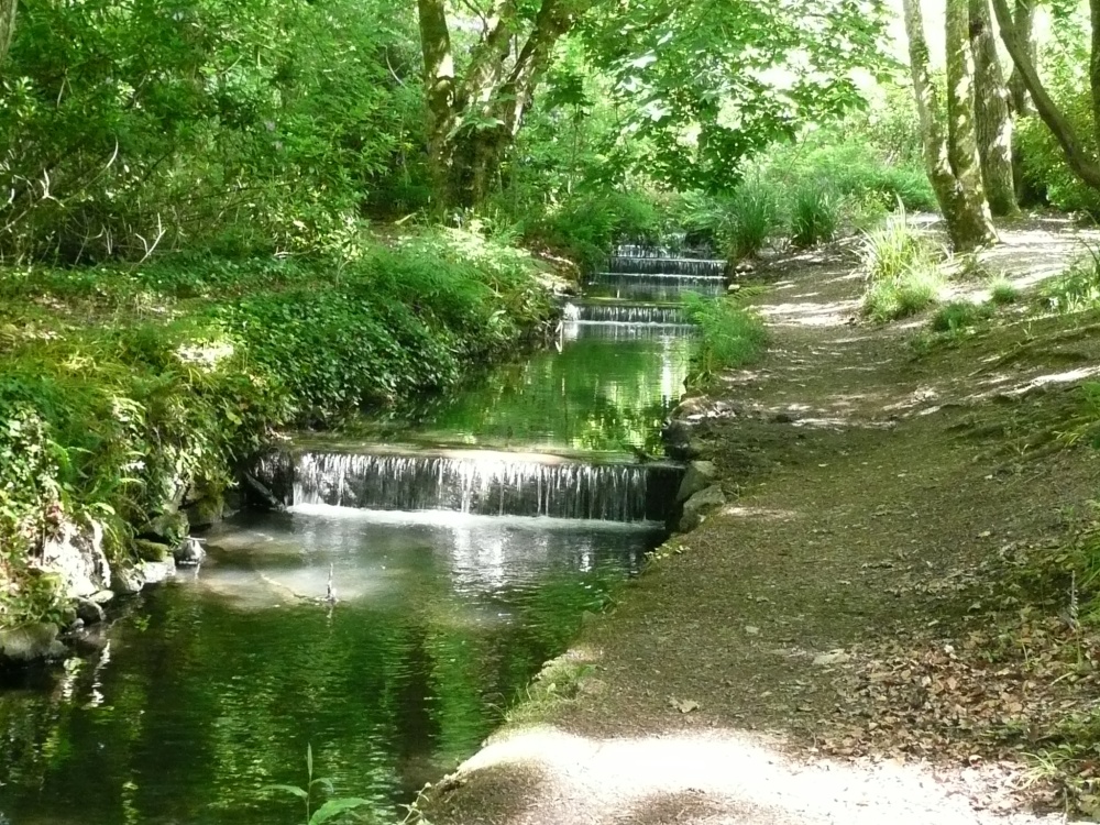 Tehidy Country Park photo by Jo Adams
