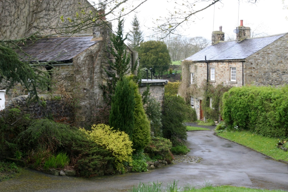 Photograph of Houses in the village