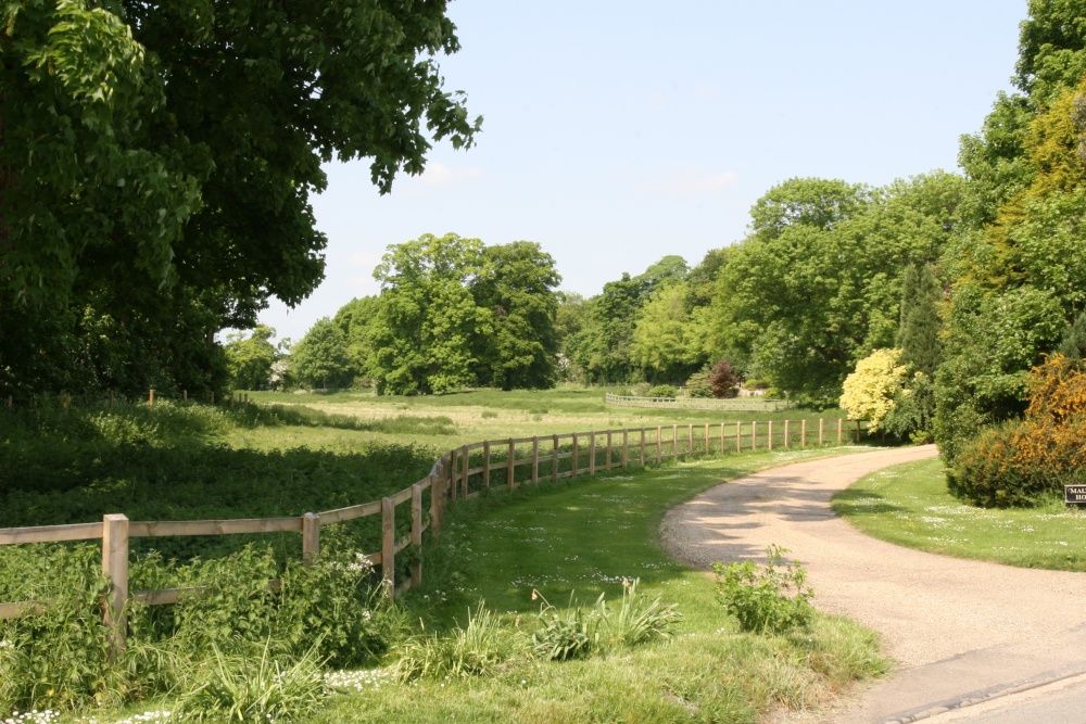Photograph of Rural scene, Dalham