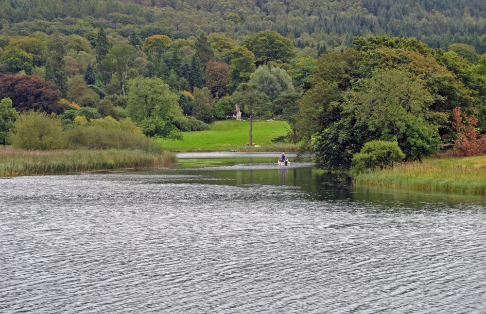 A view from the Train on the Lakeside to Haverthwaite Railway