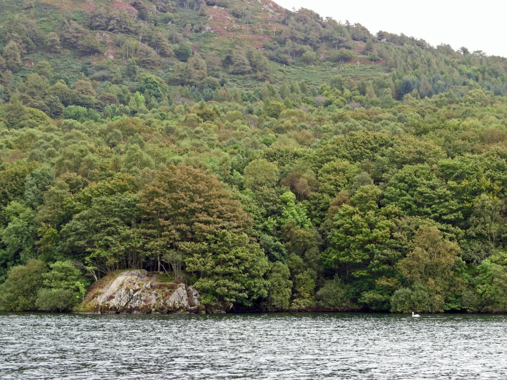 Part of the shoreline of Windermere
