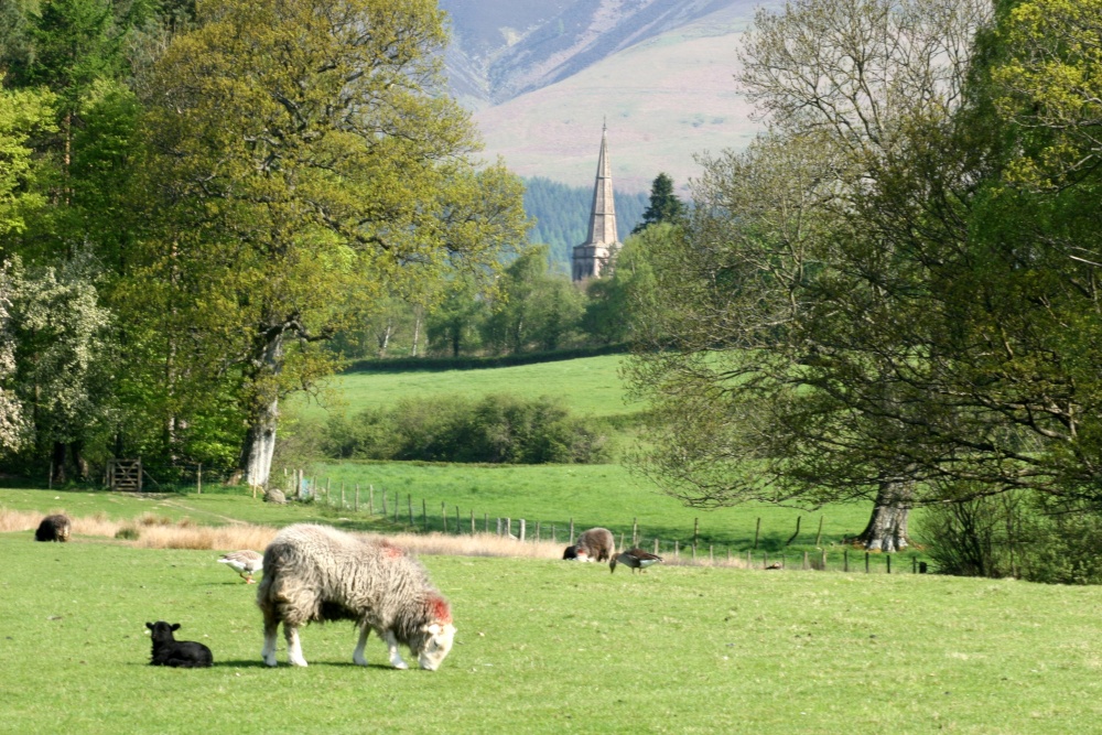 View from near Calf Close Bay towards the town and Skiddaw