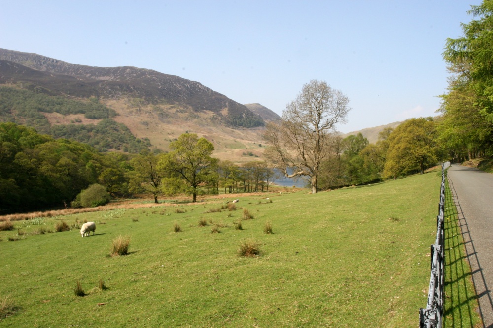 Roadside scene, Crummock Water
