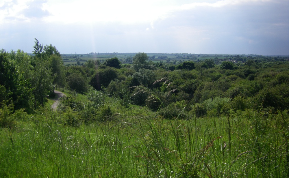 Views, Fermyn Woods Country Park