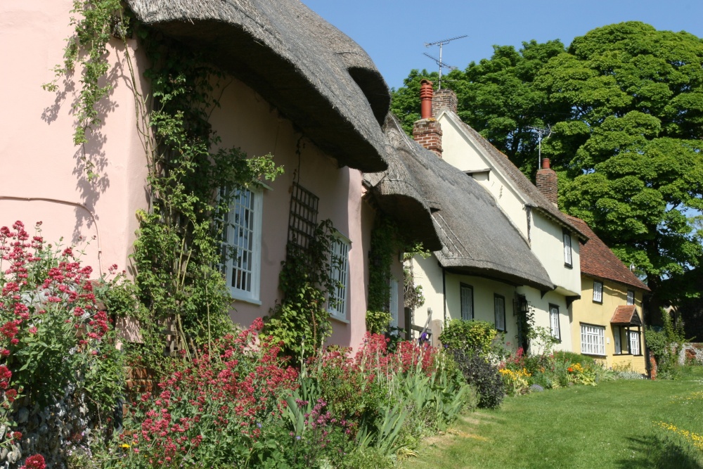 Photograph of Village Cottages