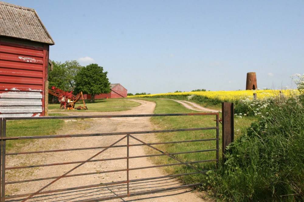 Photograph of Agricultural scene with mill