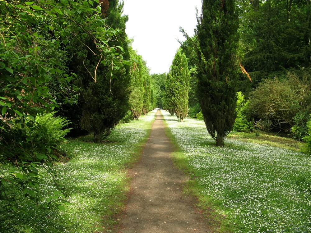 The Garden Walk, Wallington Hall.