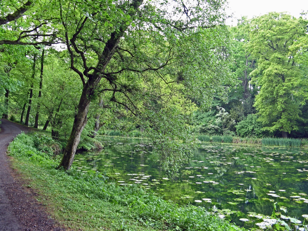 The Lake at Wallington Hall.