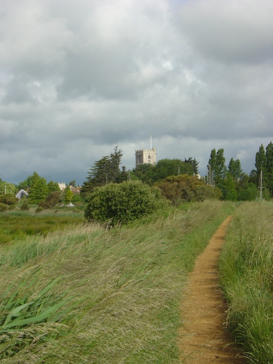 Beside the River Frome Looking Towards Wareham