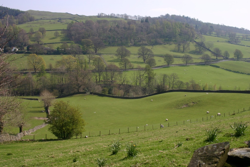 View from the village