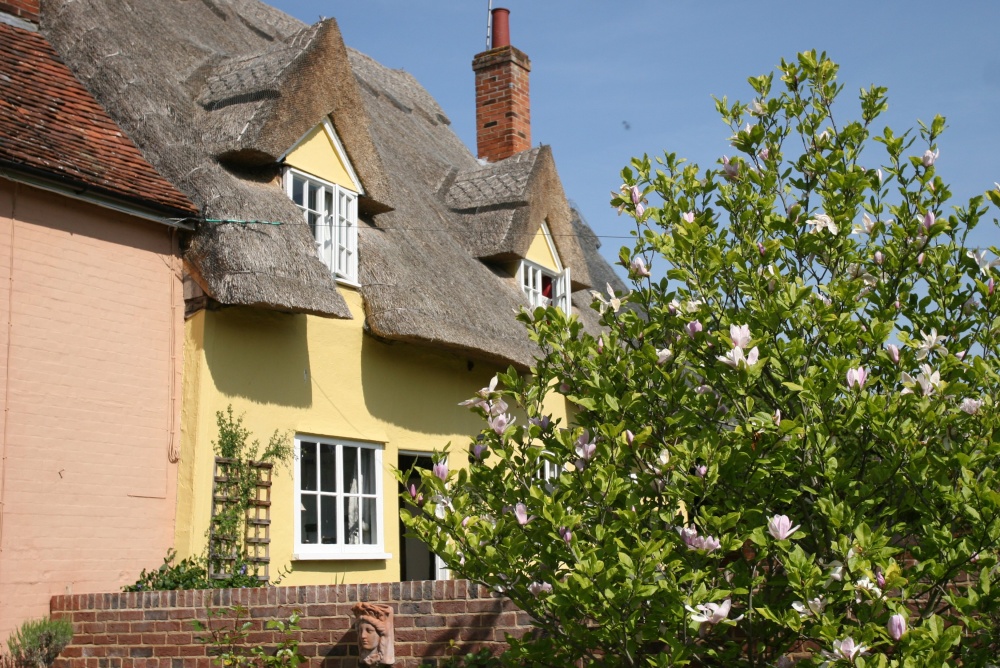 Thatched village cottage