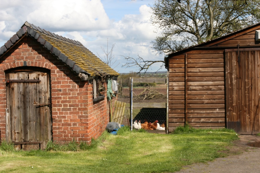 Hodnet farm scene