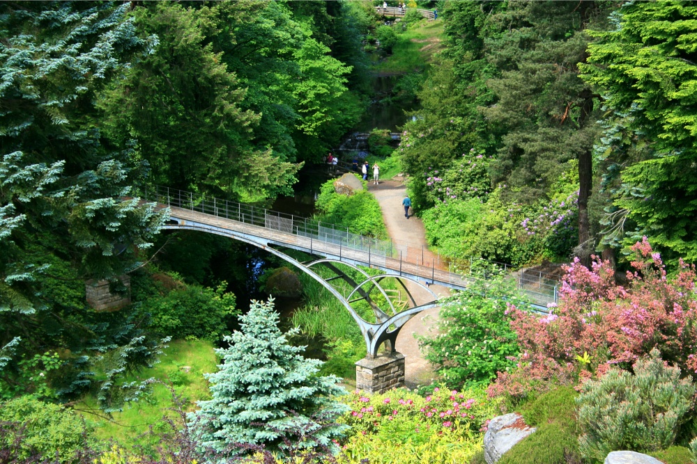 The Iron Bridge, Cragside Estate, nr Rotherbury, Northumberland.