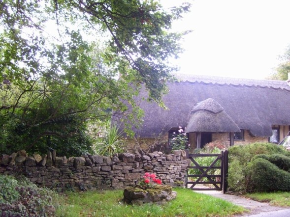 Thatched cottage