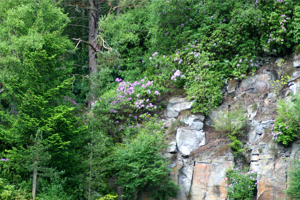 Cragside Estate, nr Rotherbury, Northumberland.