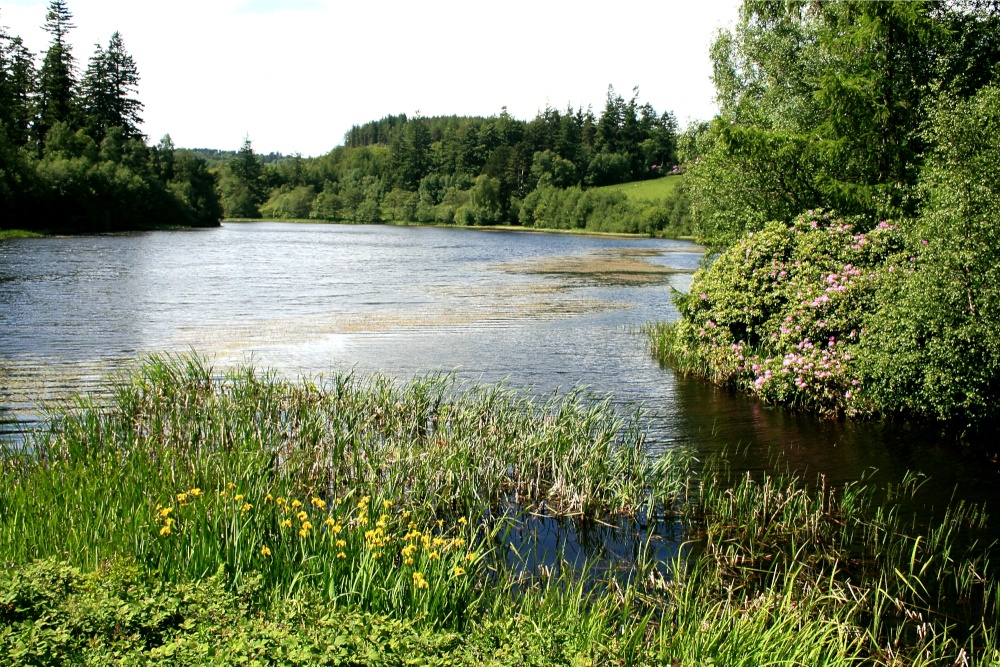 The Lake in Cragside Estate, nr Rotherbury, Northumberland.