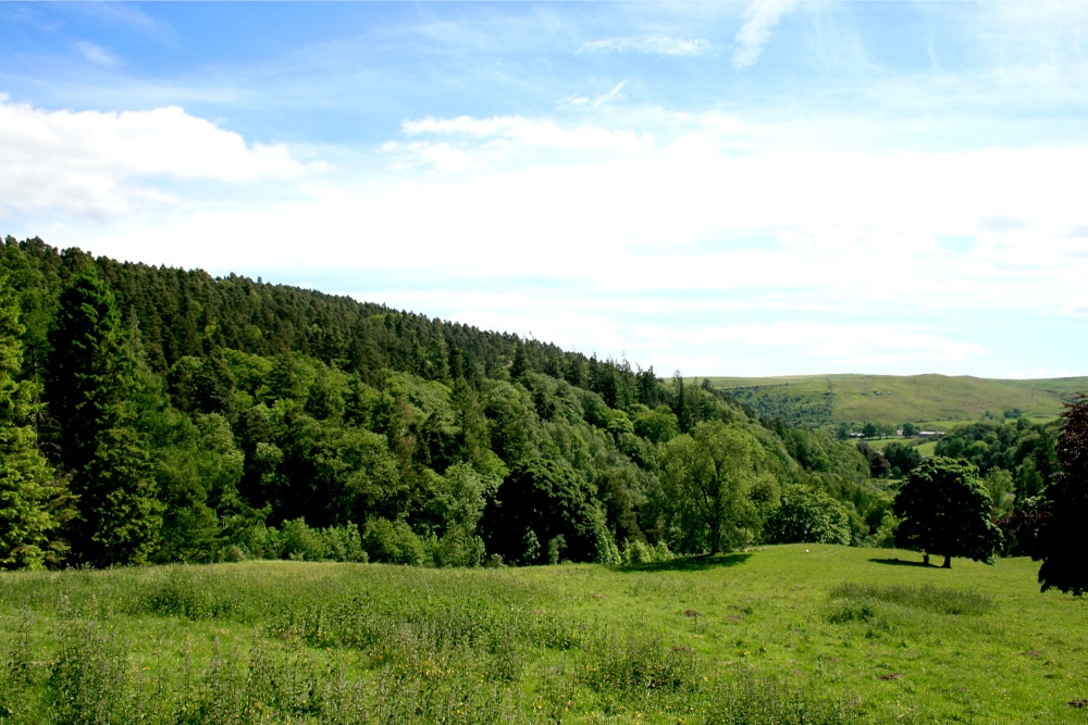 The Cragside Estate, nr Rotherbury, Northumberland.