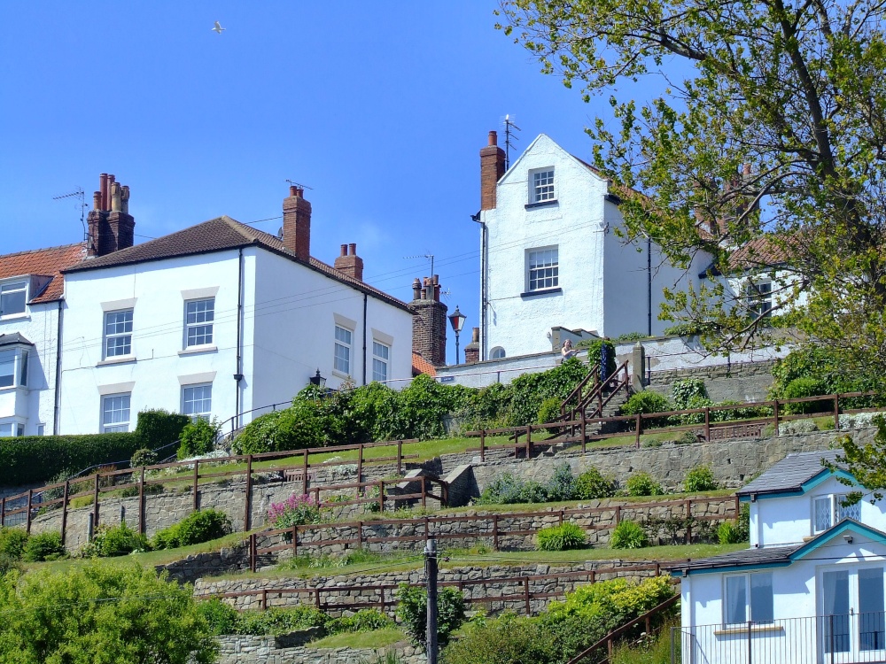 Houses on the hill, Filey