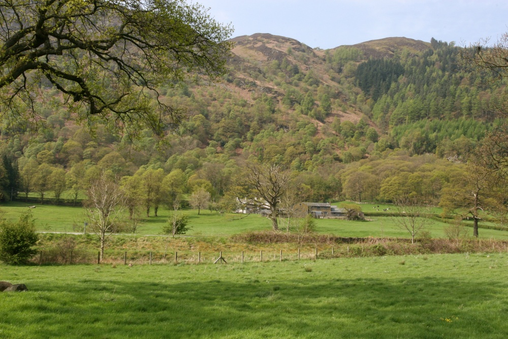 View from Blackstock Point