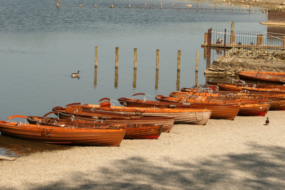 Rowing boats for hire