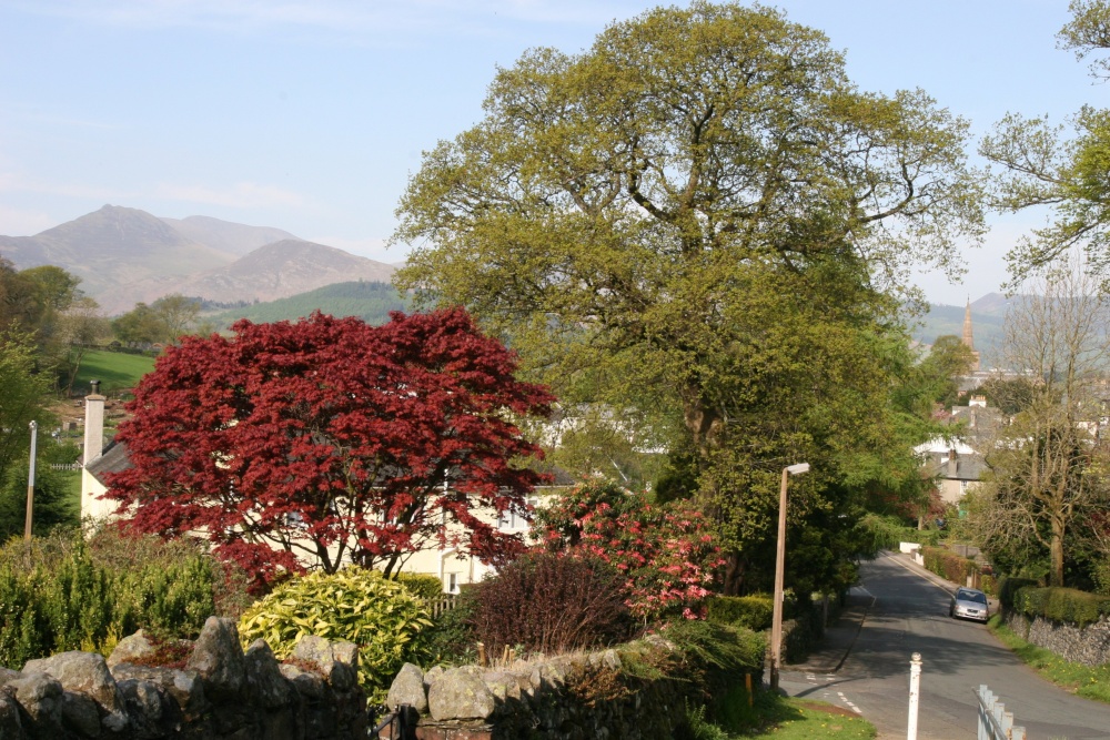 View from Manor Brow