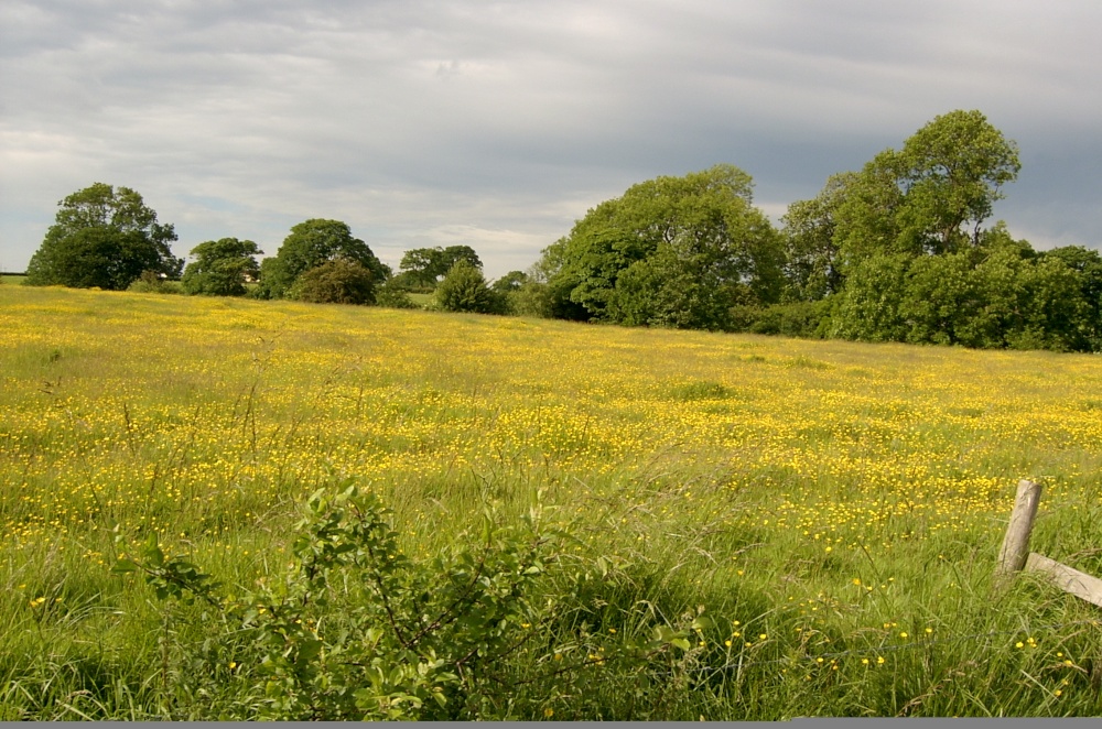 Cheshire Candle Workshops