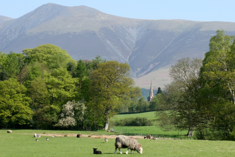 Skiddaw