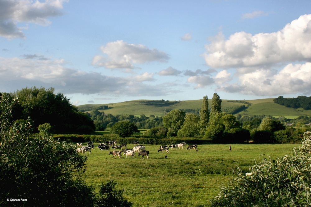 Shillingstone in Dorset